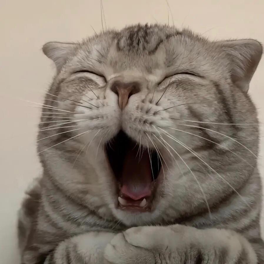 珈禾