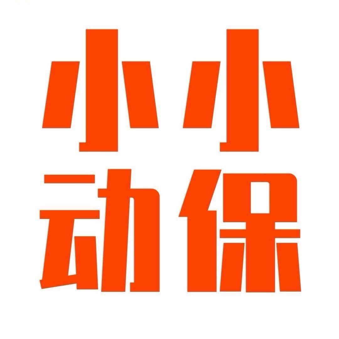 小小动保2