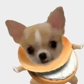 墨羽Moyi