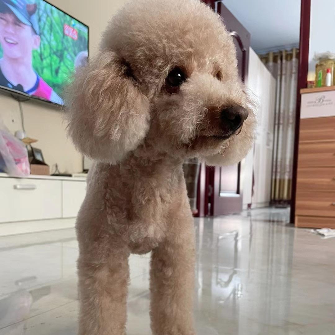 衡水•欢总