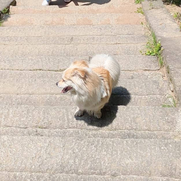 基牧怡宝