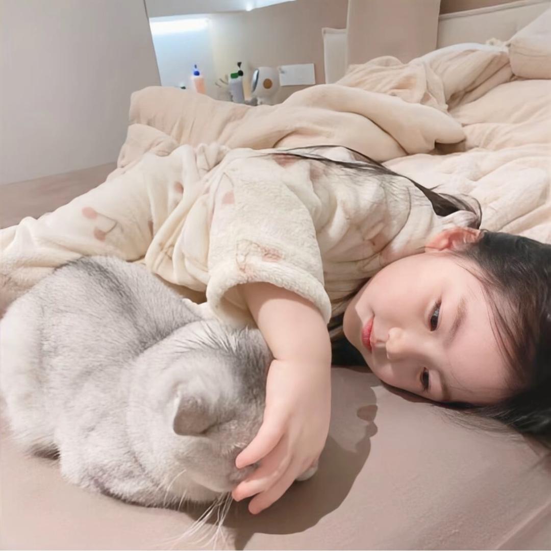 猫🐱