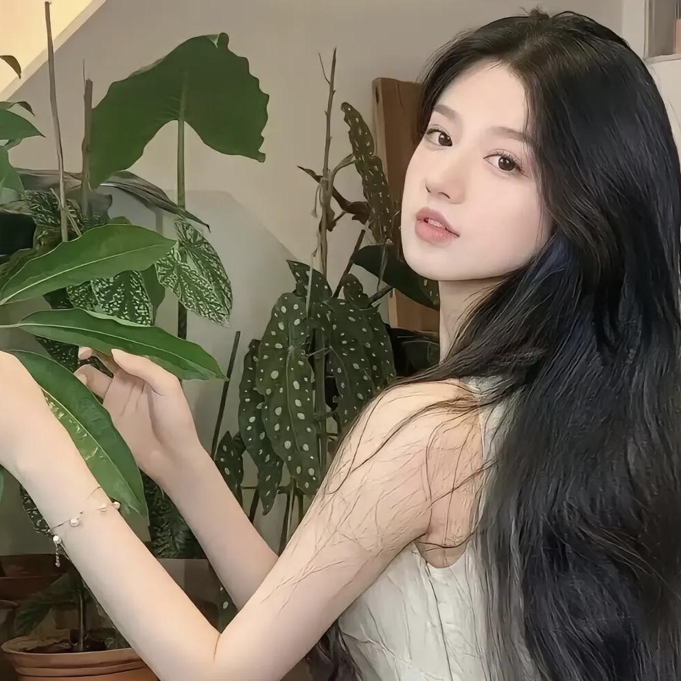 十七妹抖徕在边境