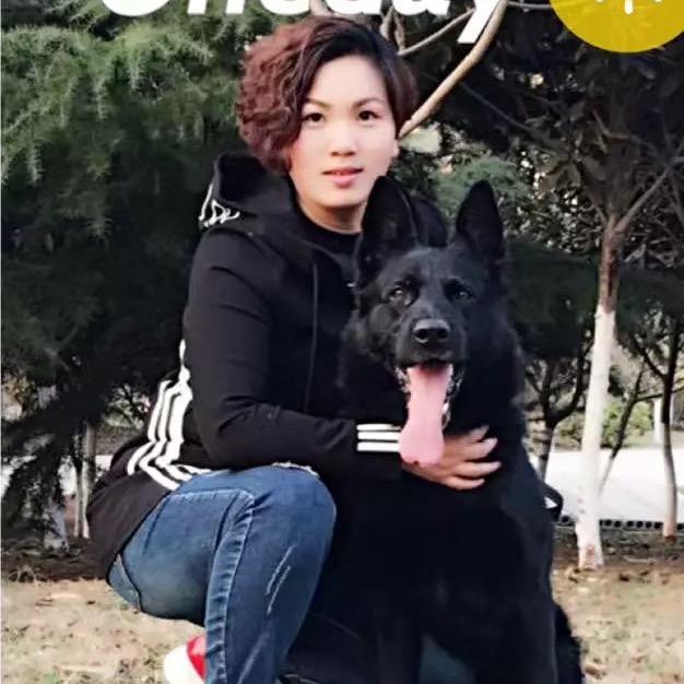 徐州彭泰犬舍-东德牧羊犬