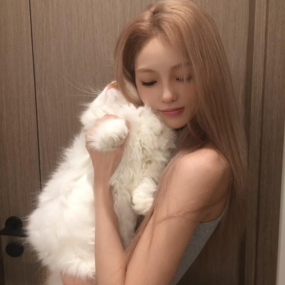 Noiiya