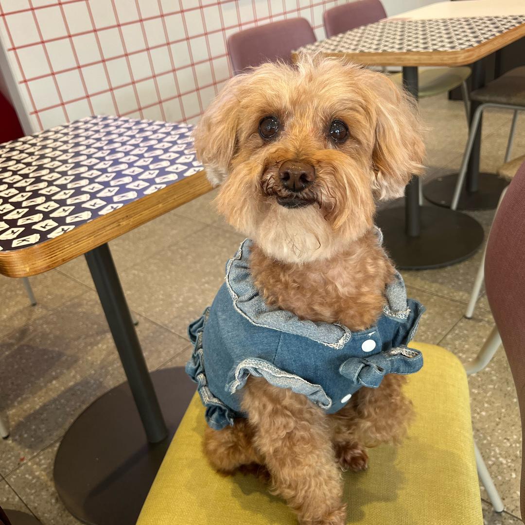 晴天☀️又见彩虹🌈