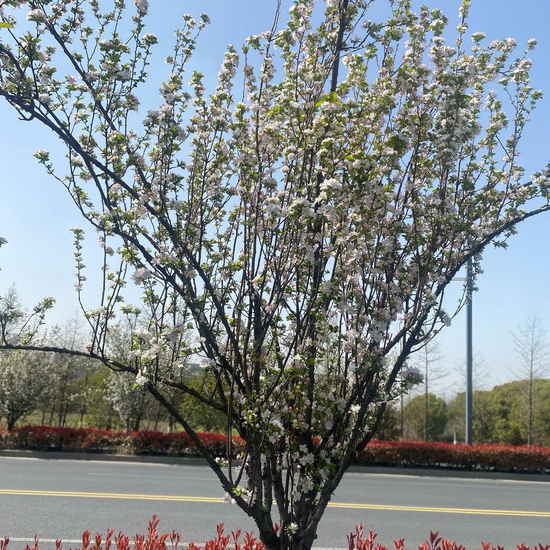 亮江建筑劳务
