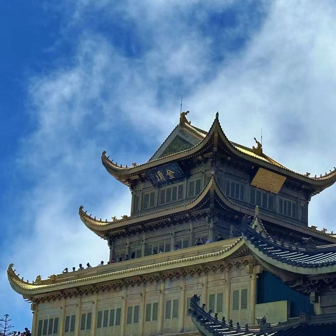 悟慈师弟 三天🈴🈴和好直播号