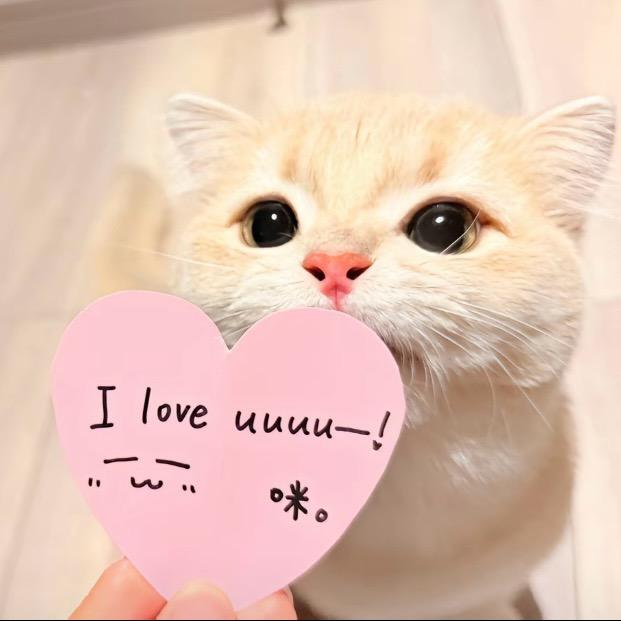 一条毯子^ ^
