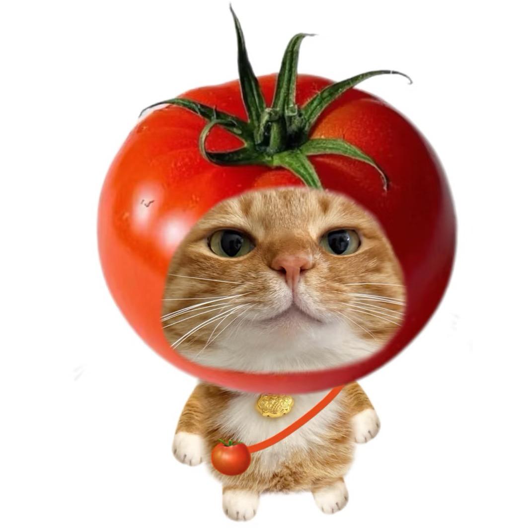 芋泥多多