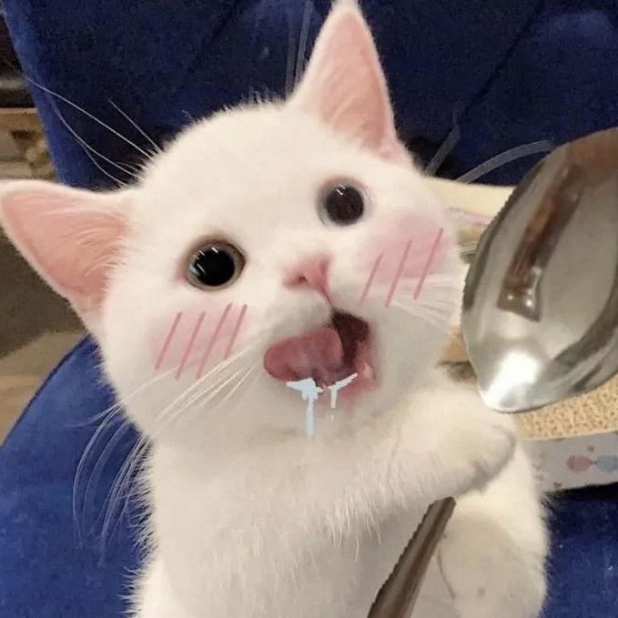 王王碎冰冰❤️