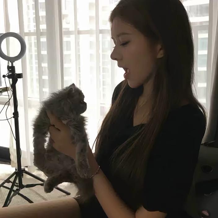 唉小琪