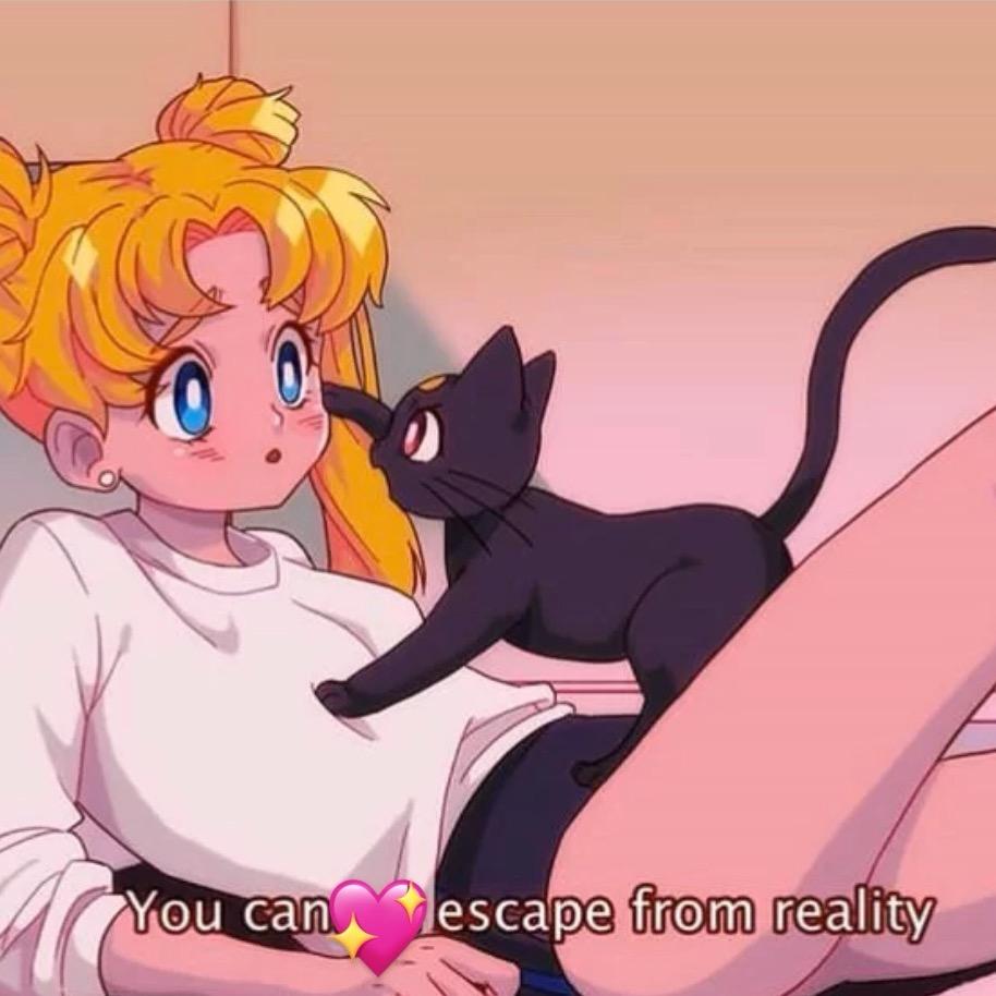 好大一颗月亮呀🐑⋆͛ᵞᵐ