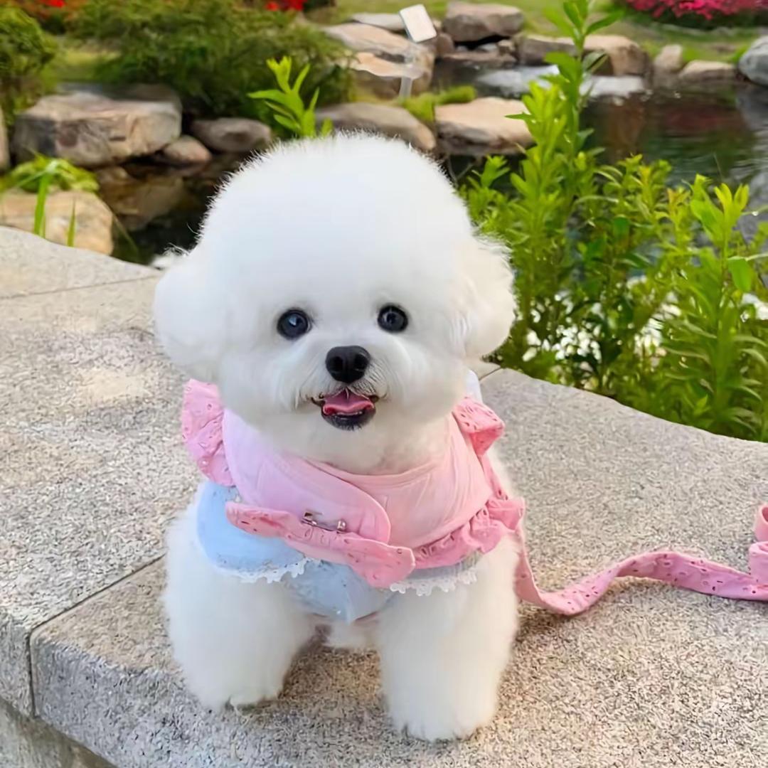 杭州下沙租房小杨