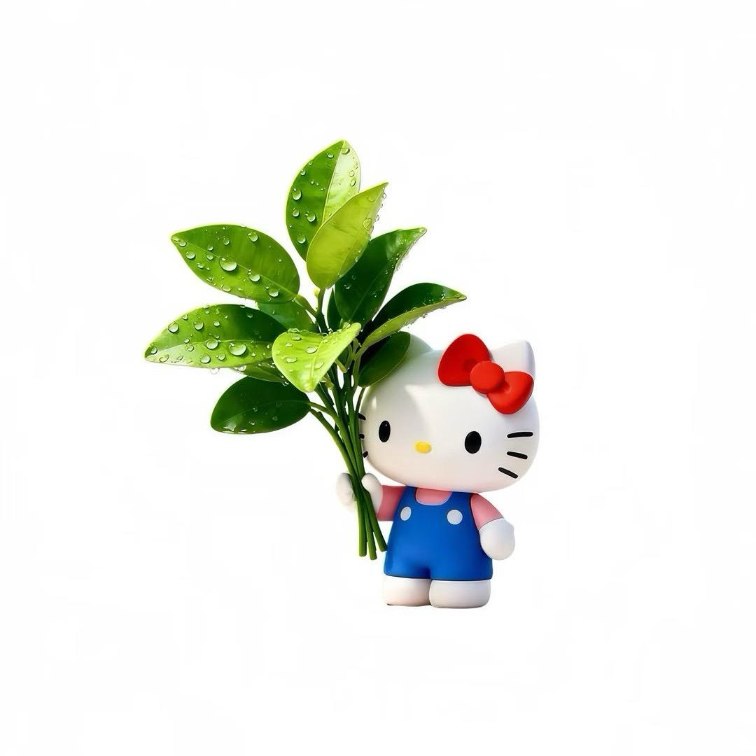 探险kitty-