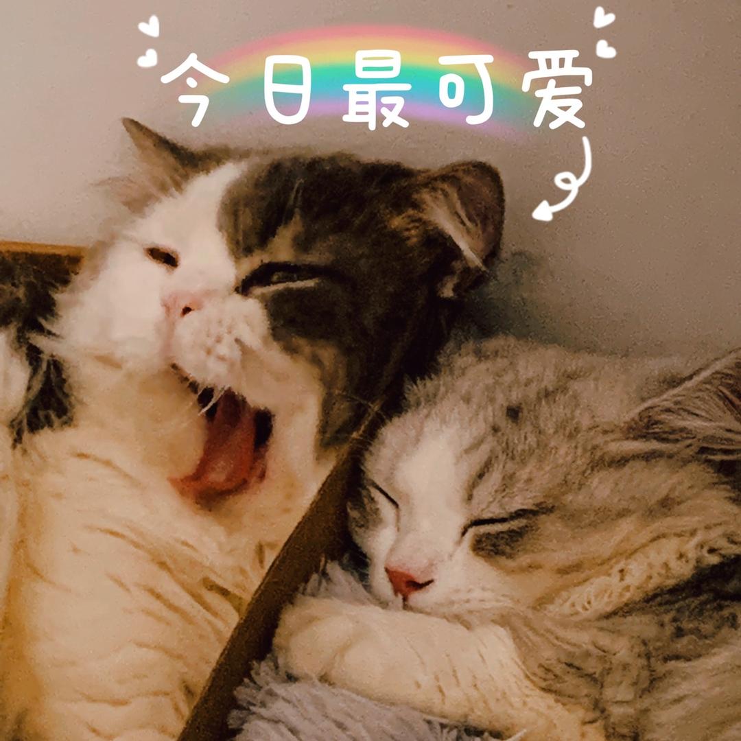 我家都是矮冬瓜