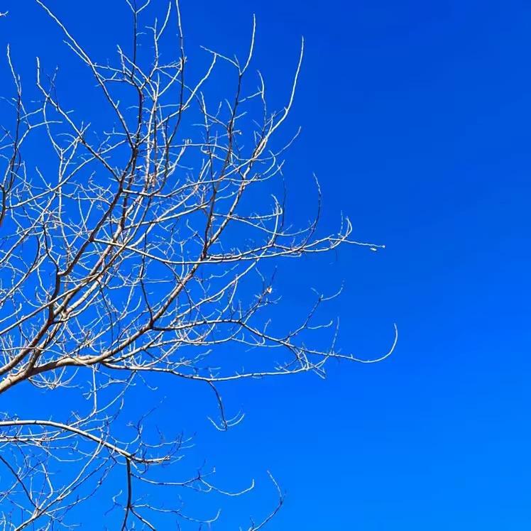 ㅤㅤㅤㅤㅤㅤㅤㅤ枫̶无̶痕̶