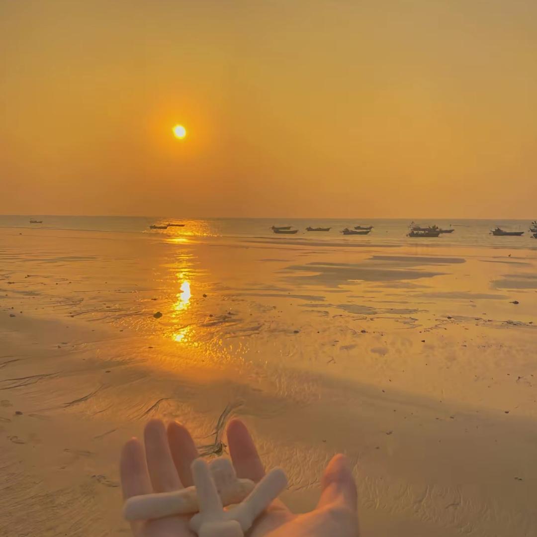 茹烟～思密🐏护