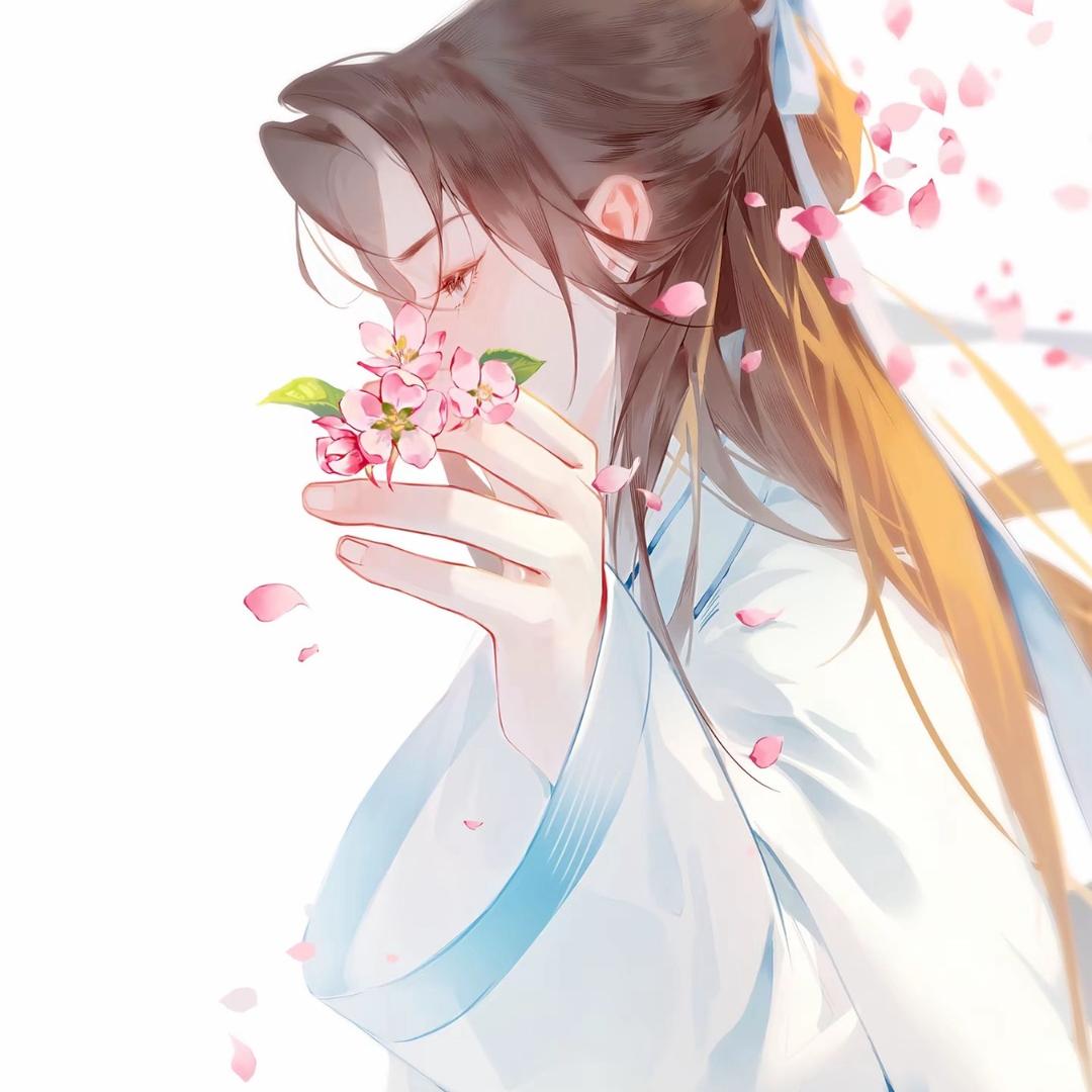湛禾