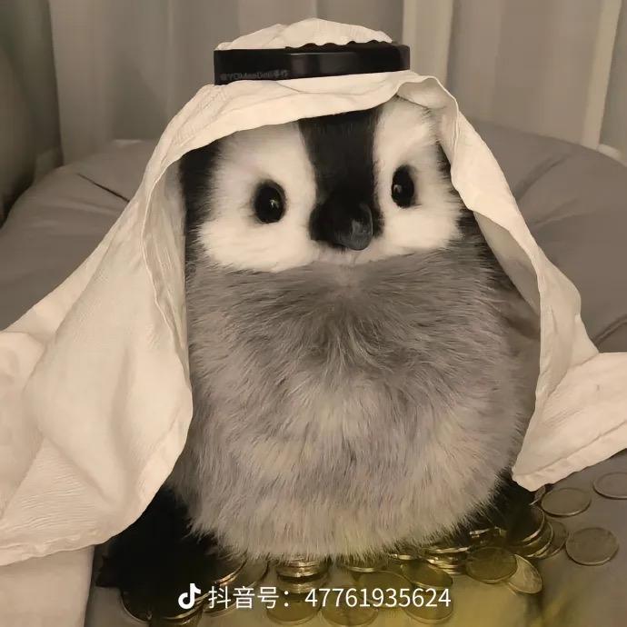 星茗百货工作室