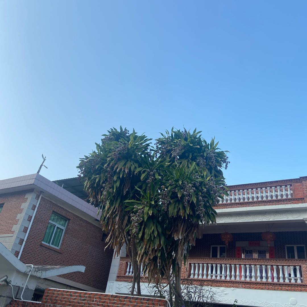 各种团购好店推荐