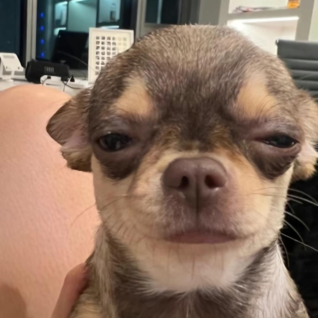 3369