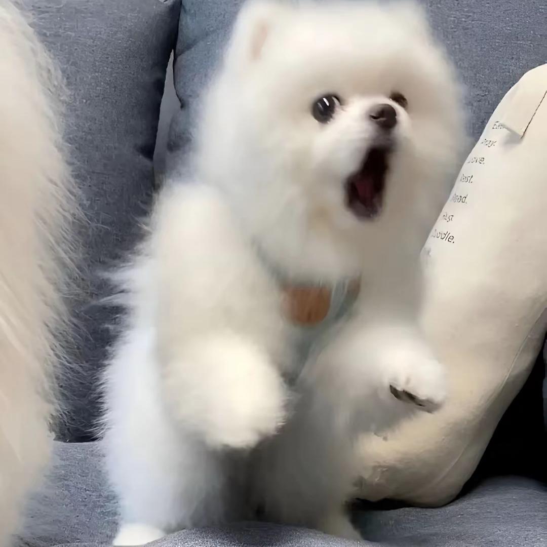 懒的只想睡觉