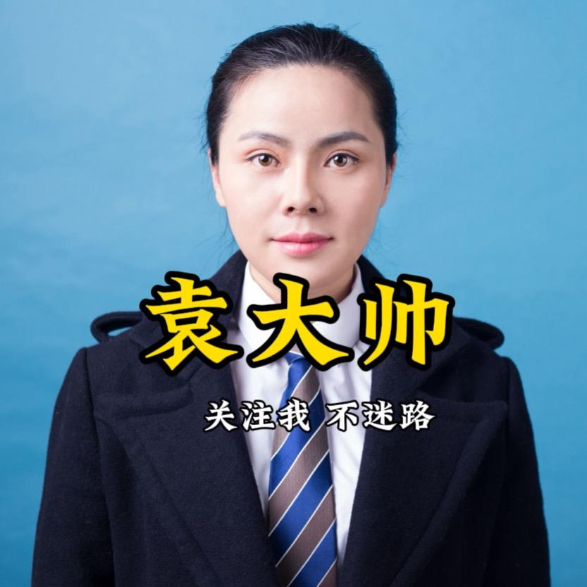 华夏袁大帅
