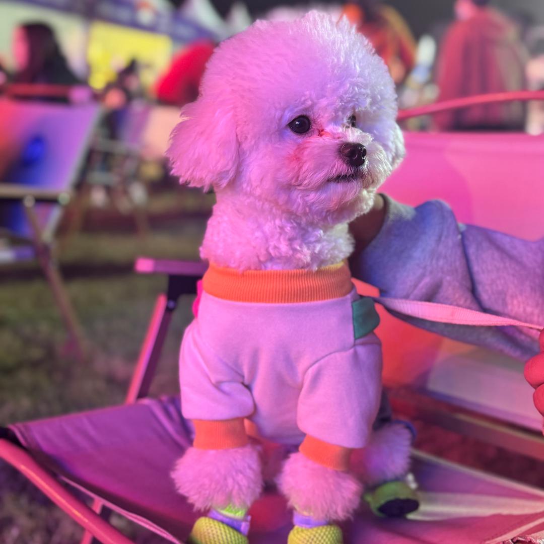大基数女孩👧