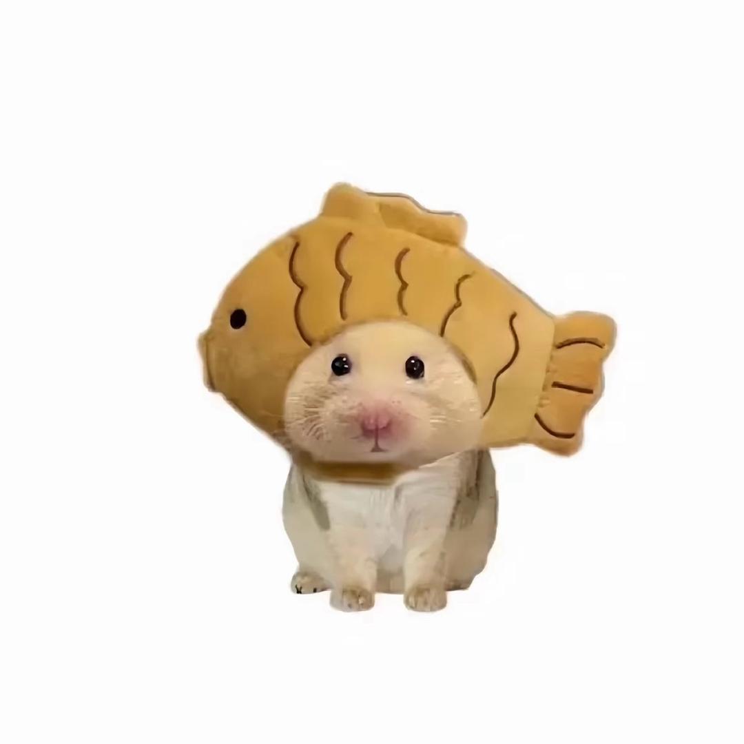 卓子