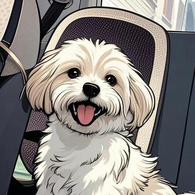 牛牛