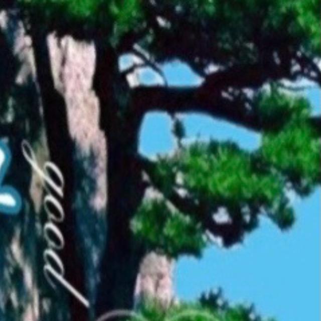 有缘遇见