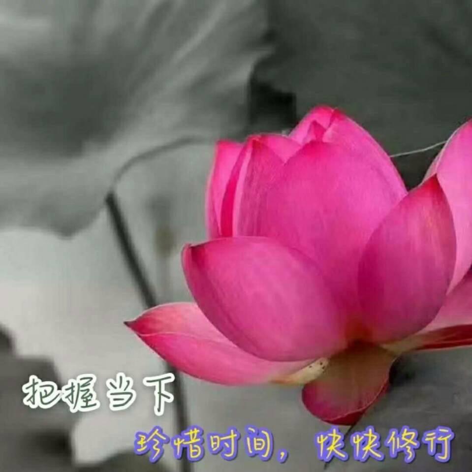 最爱思语
