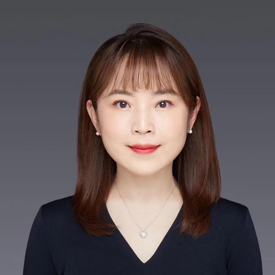 大陆美学  陆岚
