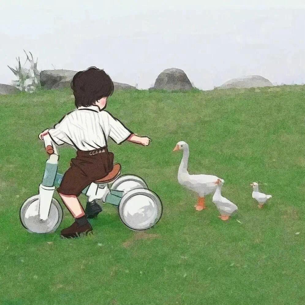 驾驶培训C1 C2  陈教练