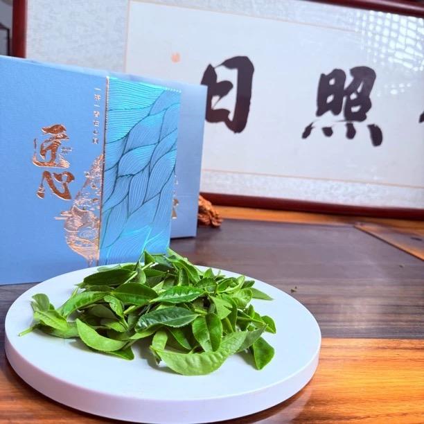 日照绿茶合作社