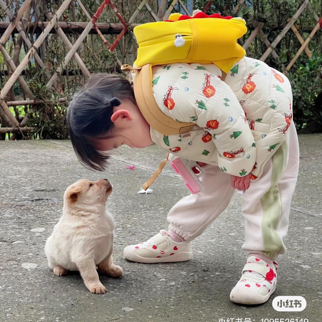 樱子🍀