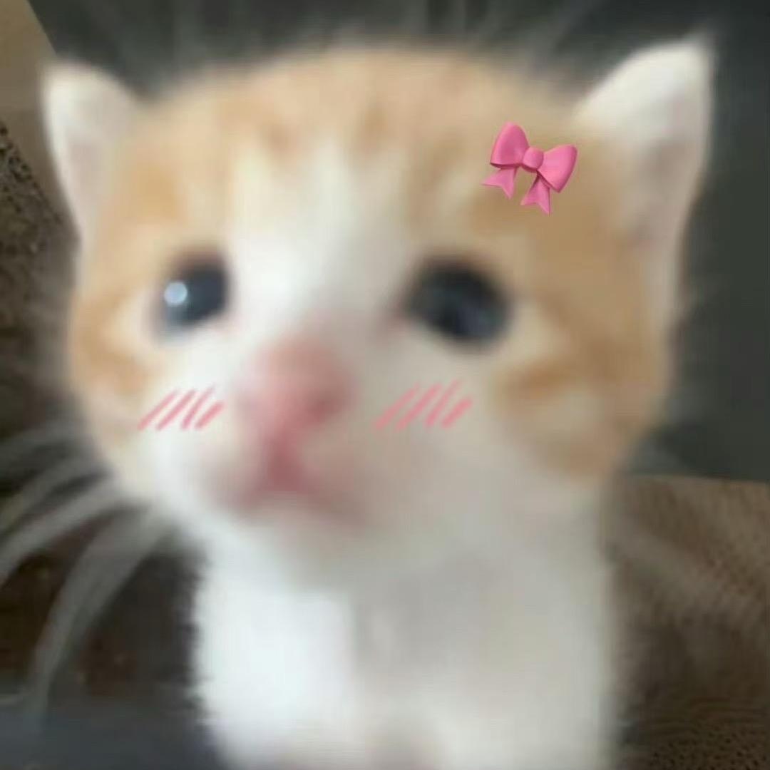 eve