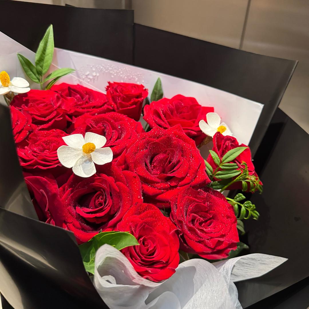 想飞的鱼🐟🐟