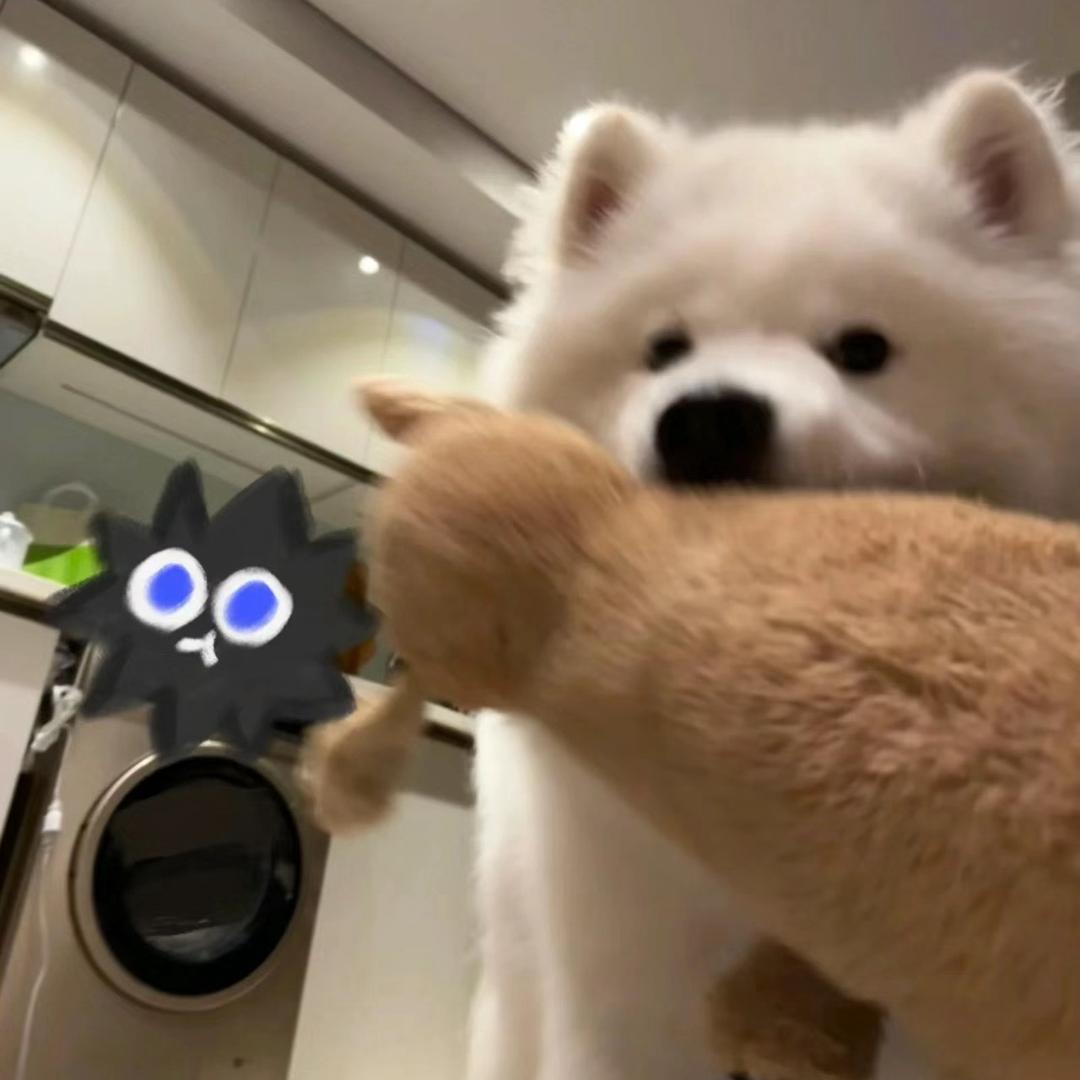 小狮子🦁️