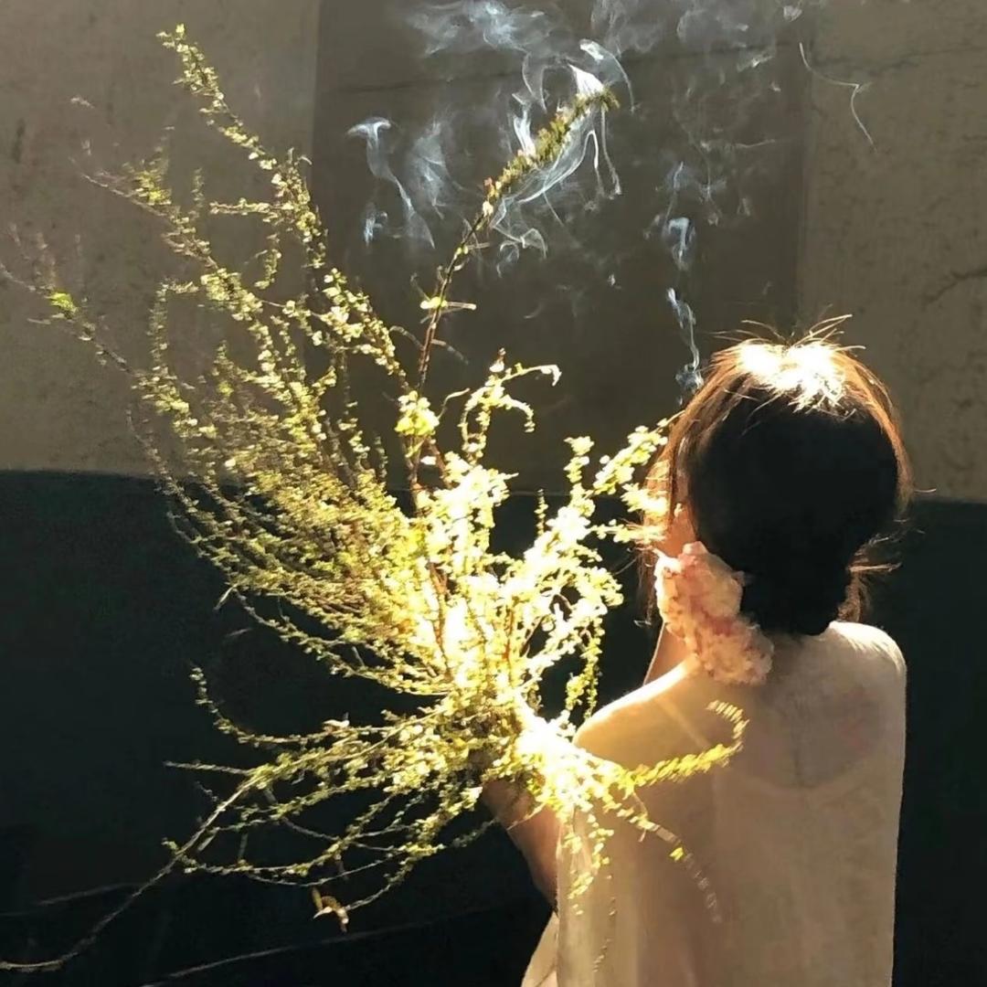 不A吃香葱
