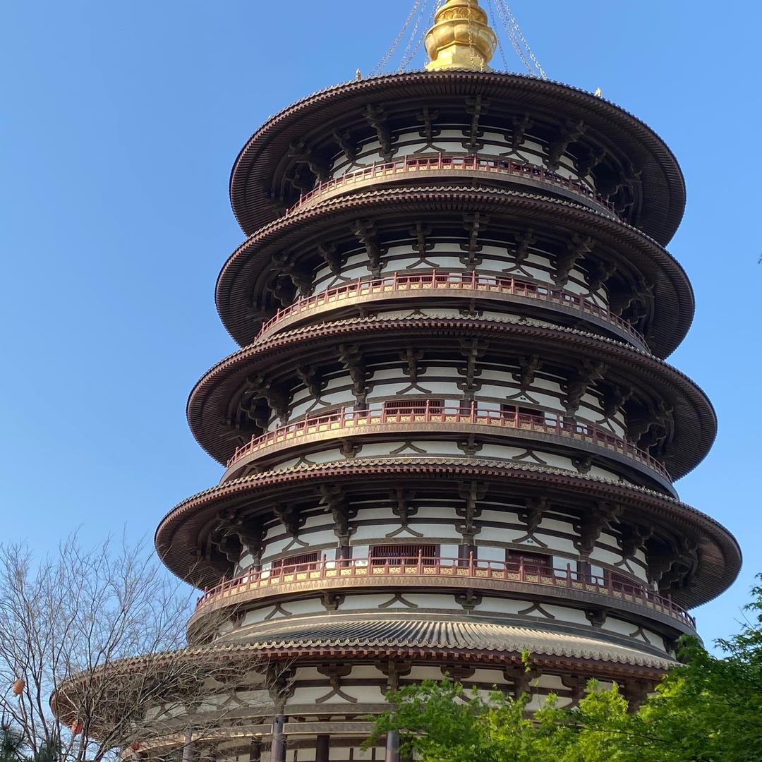 诚挚周哥