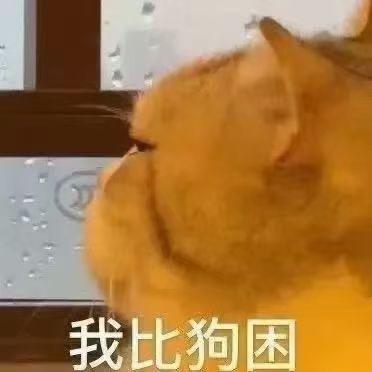 我比狗坤（困）