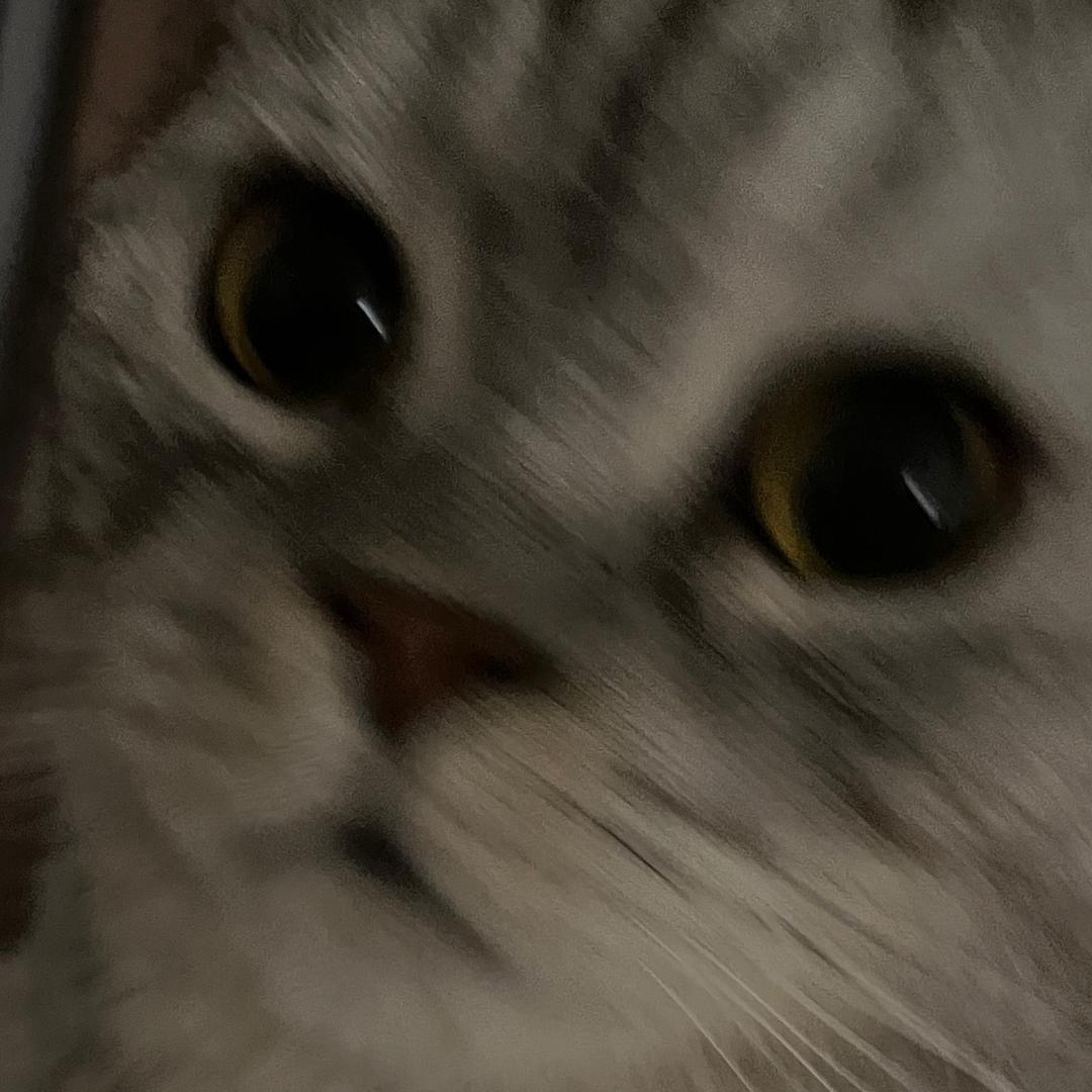 大麦麦和黄薯郎