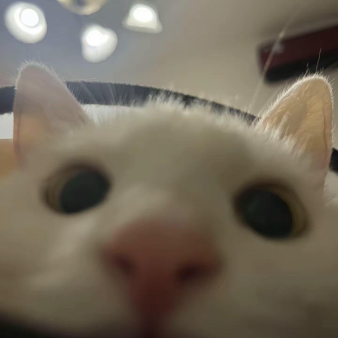 博涵