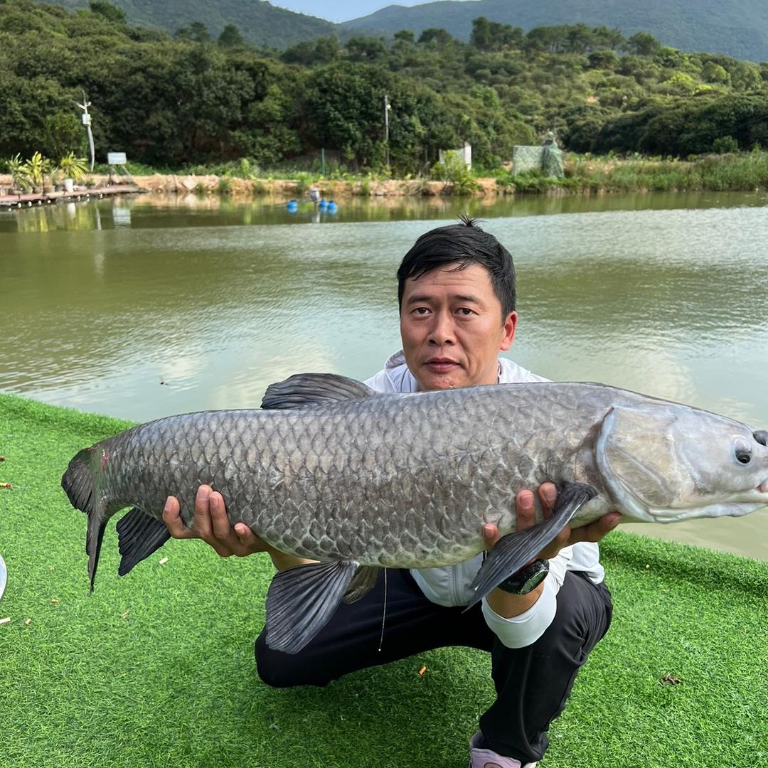 钓鱼直播桂鱼哥
