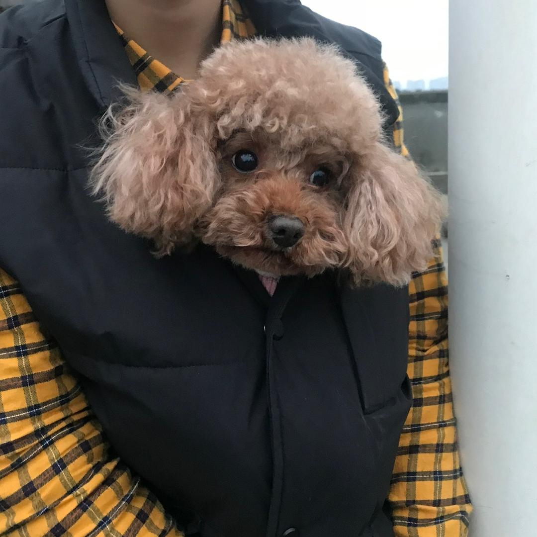 啊Y