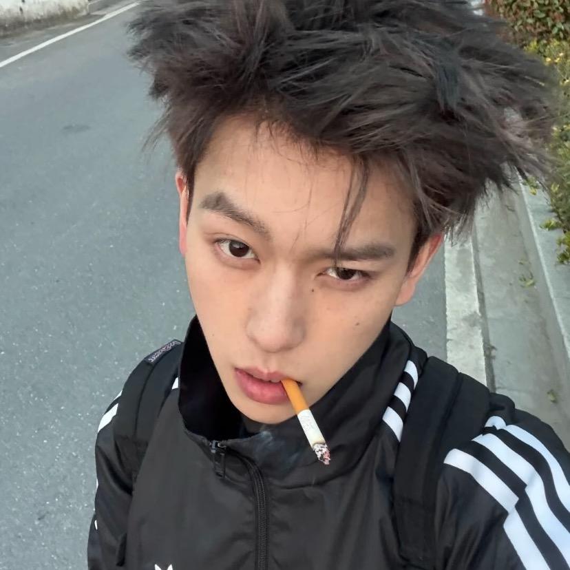 鲨鱼承诺过大海