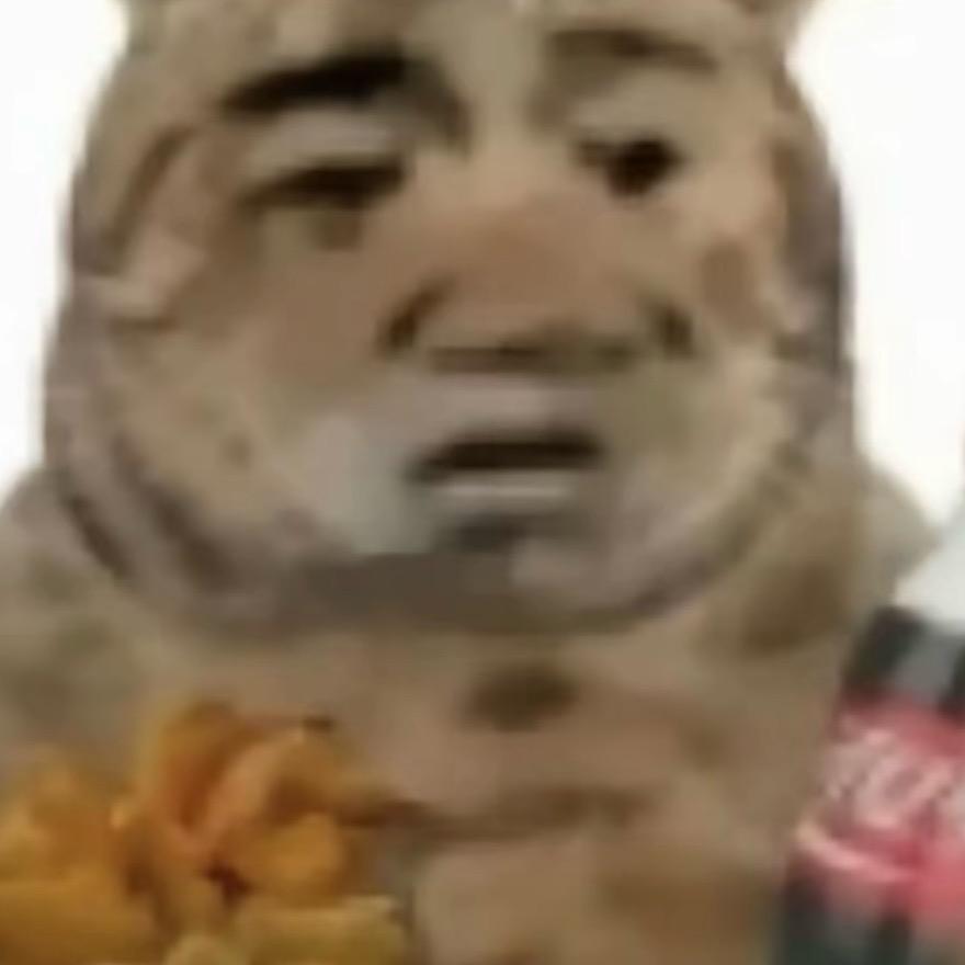 呆呆