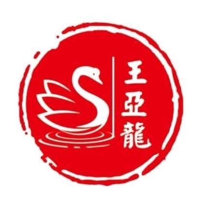亚龙金锭麻鸭五龙鹅